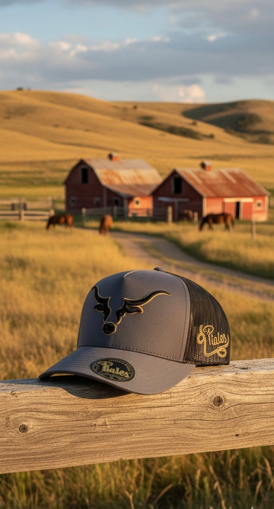 Rodeo