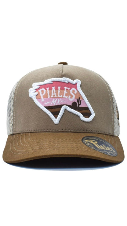 Pieles mx
