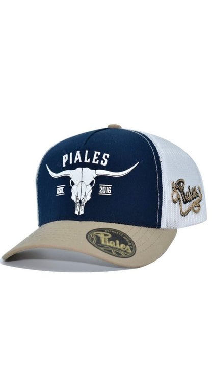 Piales longhorn